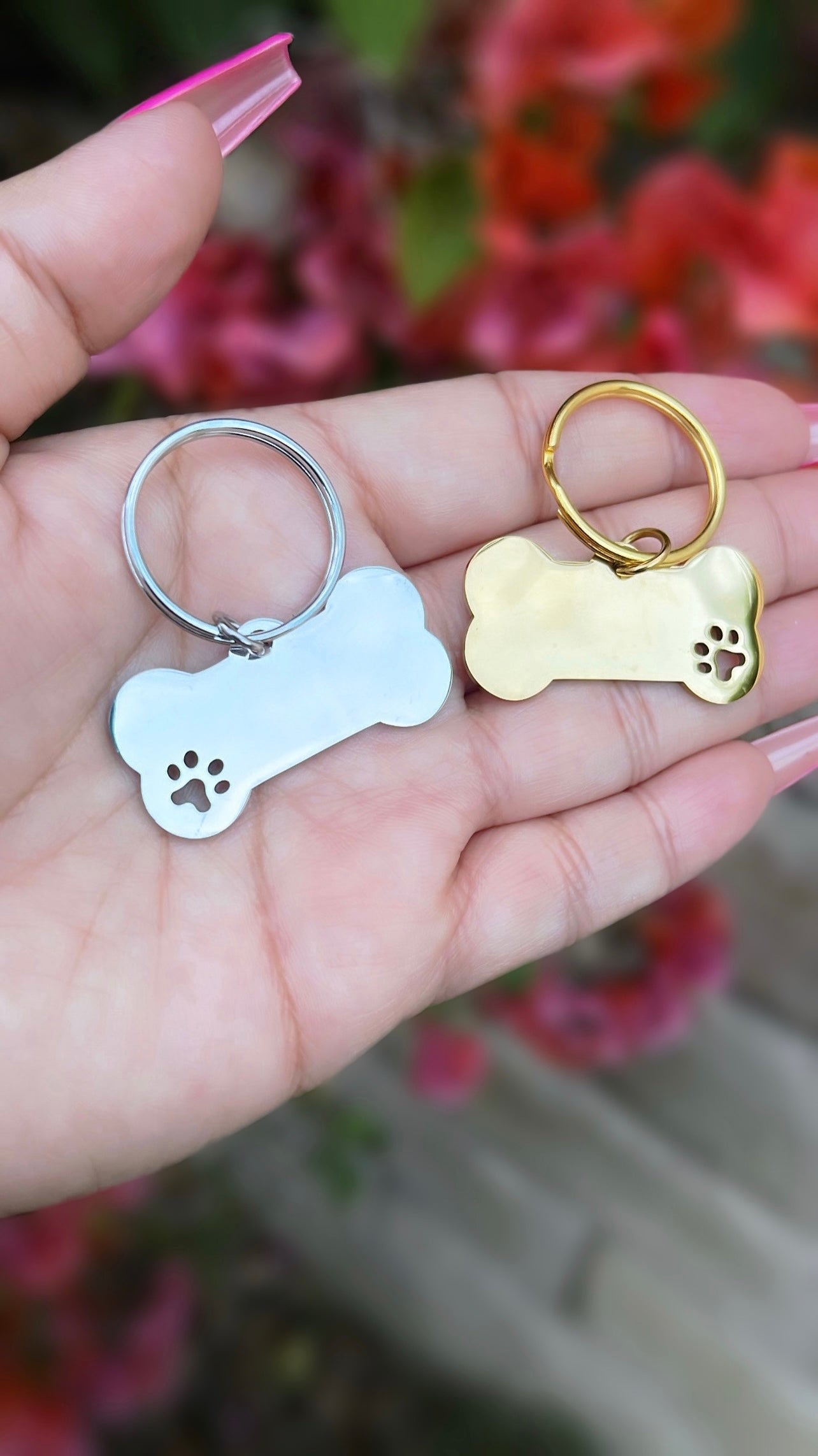 🐶Placa de identificación para perro