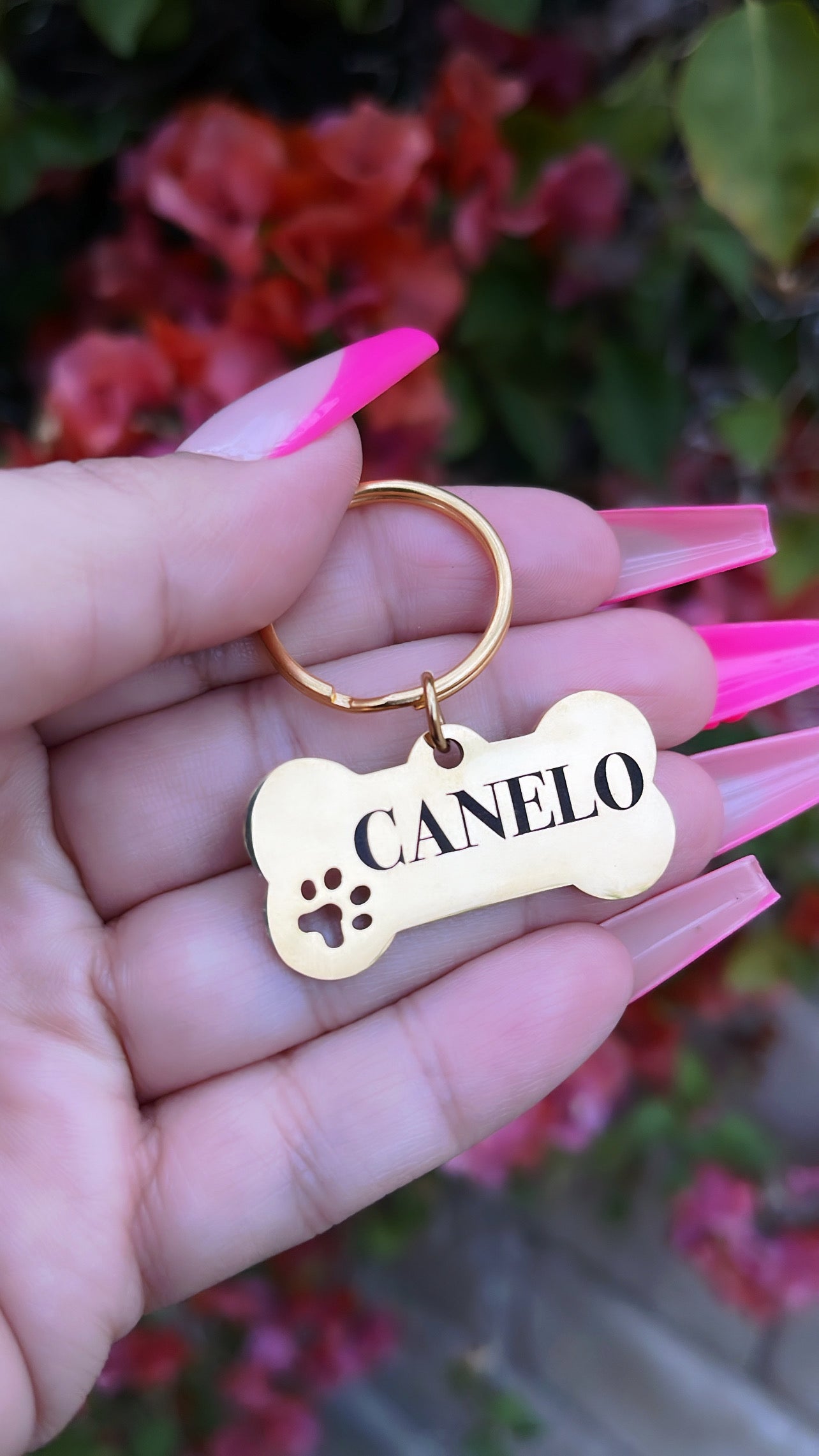 🐶Placa de identificación para perro